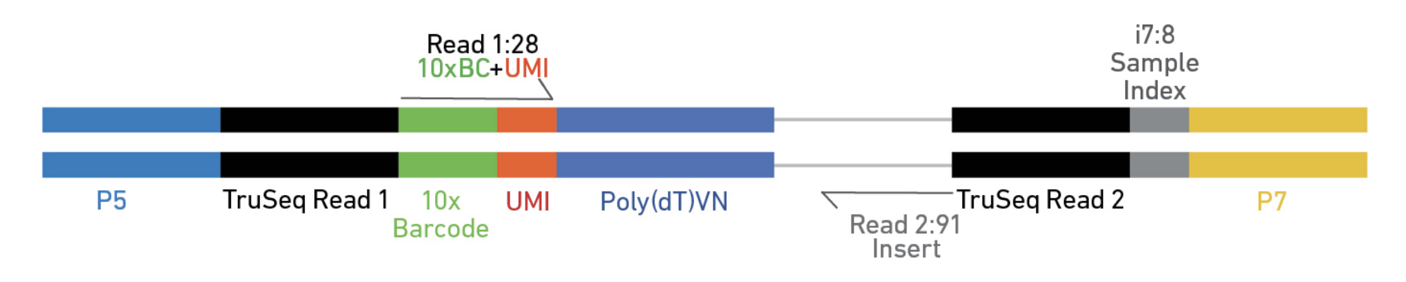 Elements to a 10x read