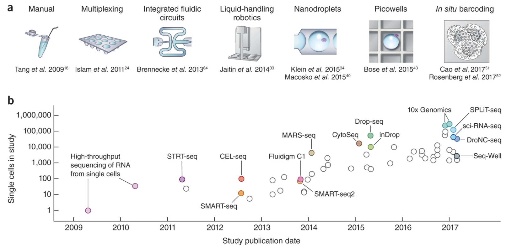 Flowchart of the scRNAseq protocols